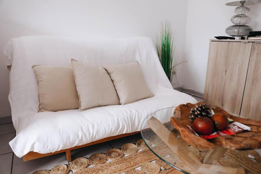 Appartement Echappee Chic Toulousaine à Toulouse Extérieur photo